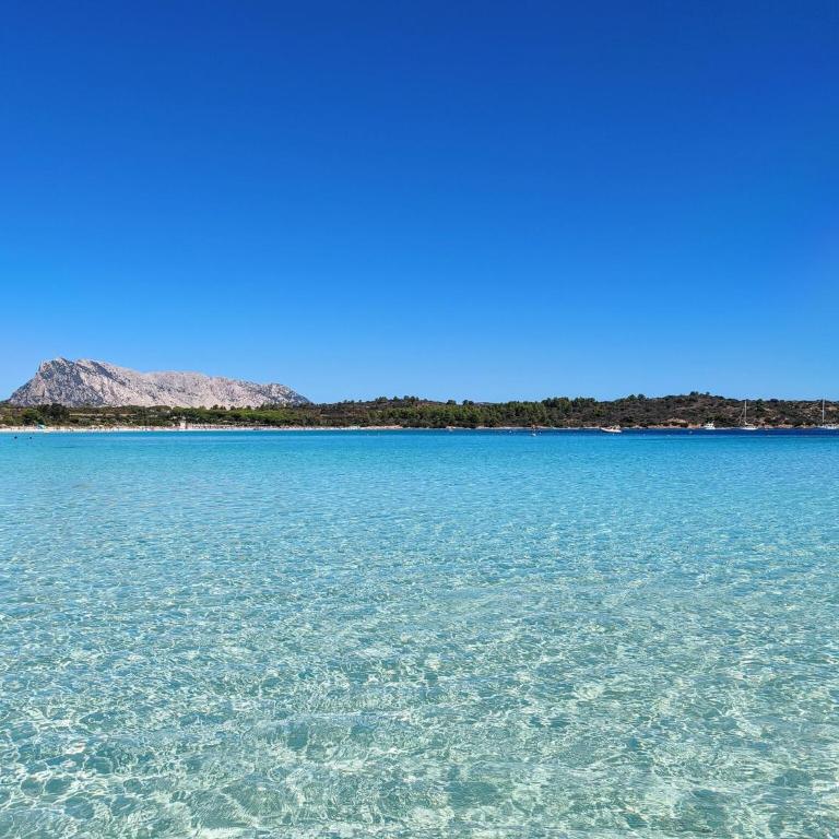 Seaside apartment near Budoni - Appartamento con 2 Camere da Letto - 19