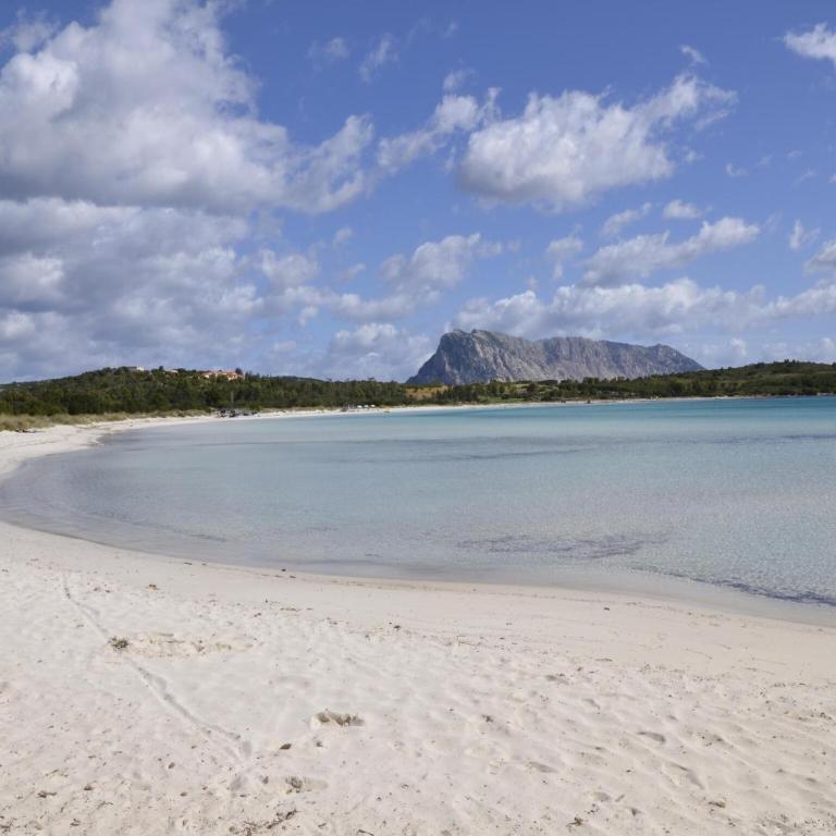 Seaside apartment near Budoni - Appartamento con 2 Camere da Letto - 25