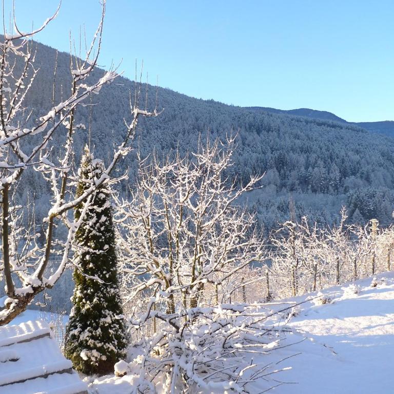 Villa Ried - Appartamento con 1 Camera da Letto - 11