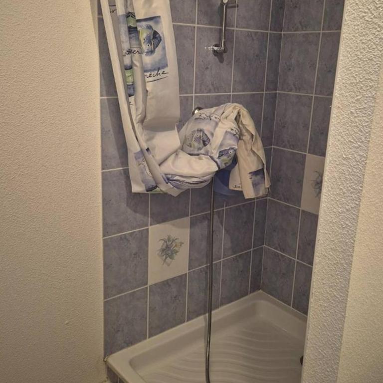 T2bis charmant 4-6 pers, proche centre, Cauterets - FR-1-234-348 - Appartement - 11