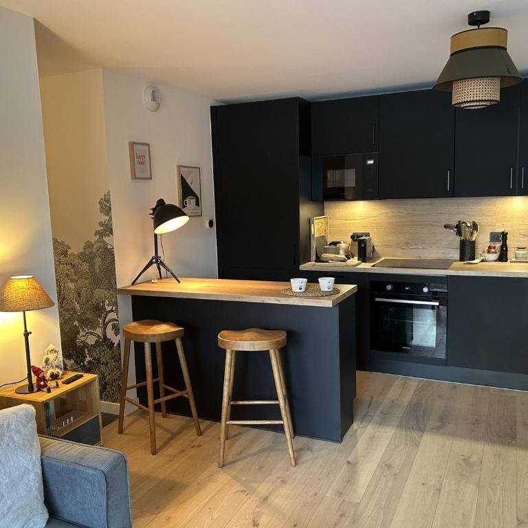 Appartement de standing 2 chambres, Wi-Fi, animaux admis, parking - FR-1-836-56 - Appartement - 9