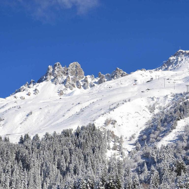Magnifique 4 pièces rénové, skis aux pieds, 6-7 pers., sud - FR-1-182-273 - Appartamento - 20