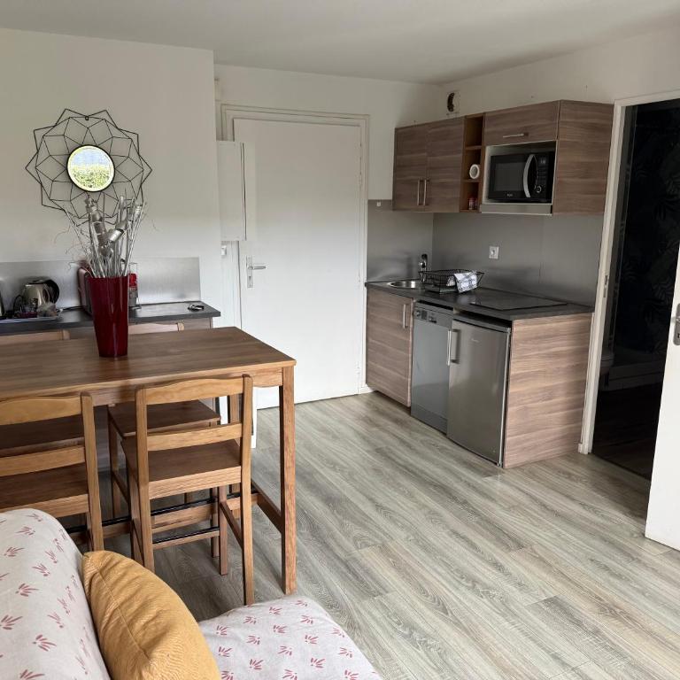 2 PIECES JARDIN, ACCES DIRECT MER ET PROCHE THALASSO - Appartement - 3