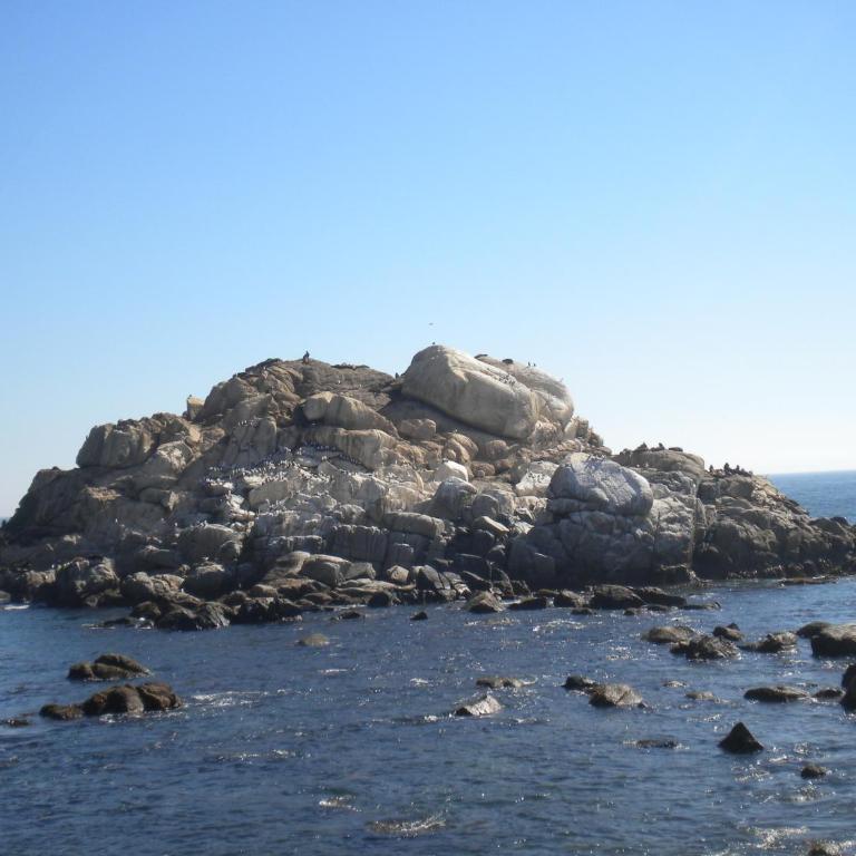 Pacific Blue - Apartamento con vistas al mar - 21