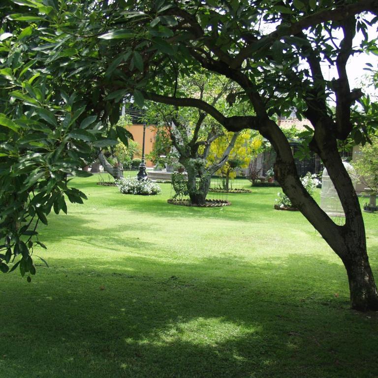 Las Casitas Campestres de Fraida - Un Oasis dentro de la Ciudad - Chalet de 1 dormitorio - 46