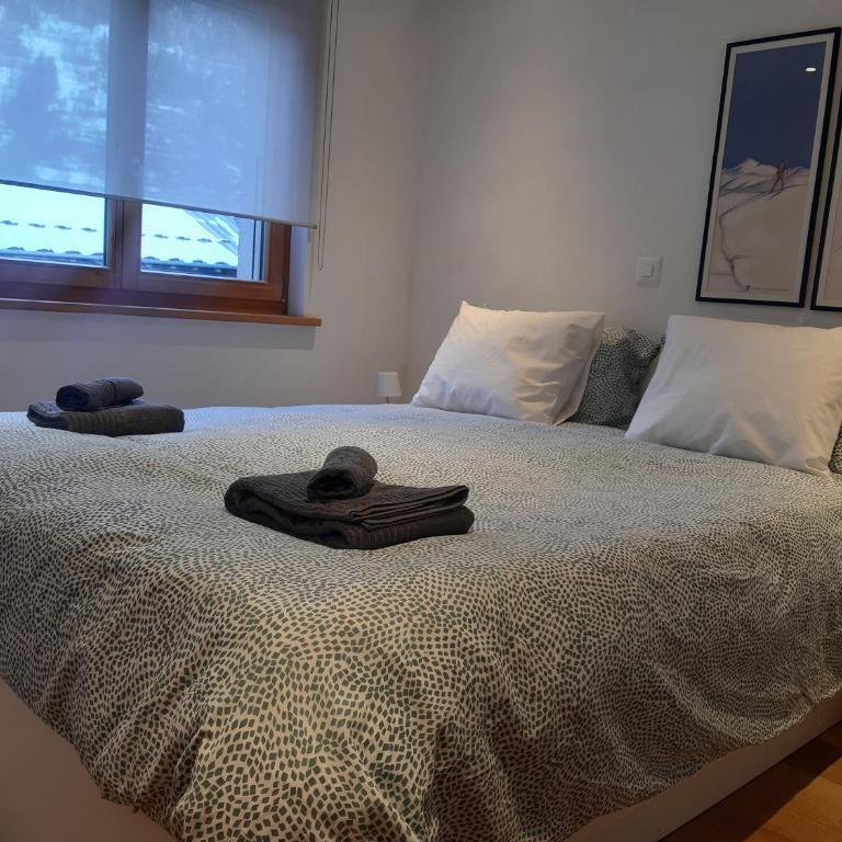 Petit Combin-Modern Apartment, Close to the lift - Apartment mit 2 Schlafzimmern - 2