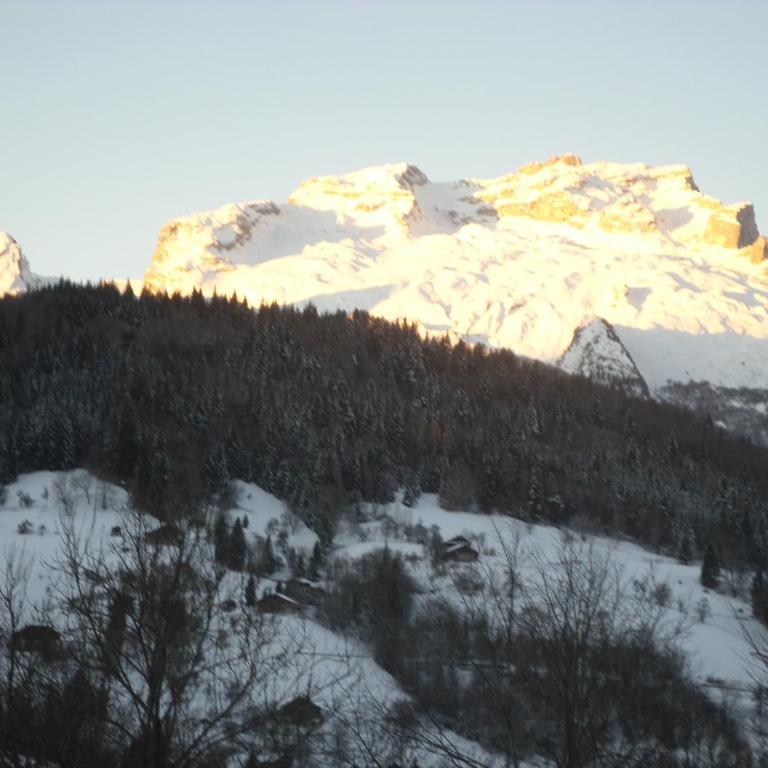 Rez de chalet "La Grange" - Appartement avec Vue sur la Montagne - 23