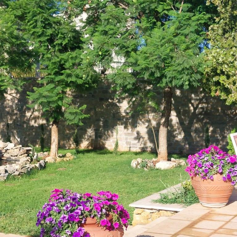 Gira e Firria - Three-Bedroom Vacation Home - 1