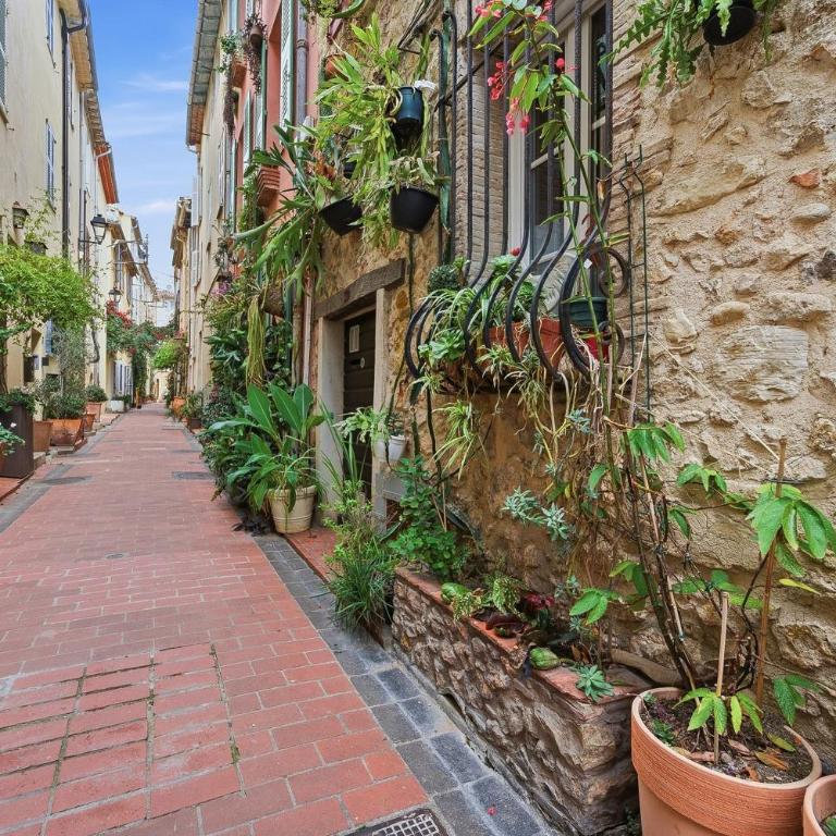 Le Haut Castelet - Vieil Antibes - Studio - 13
