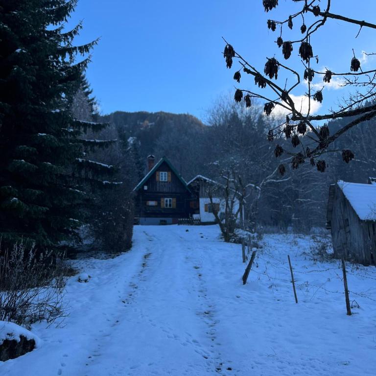 Ferienhütte Admont - Haus mit 2 Schlafzimmern - 20