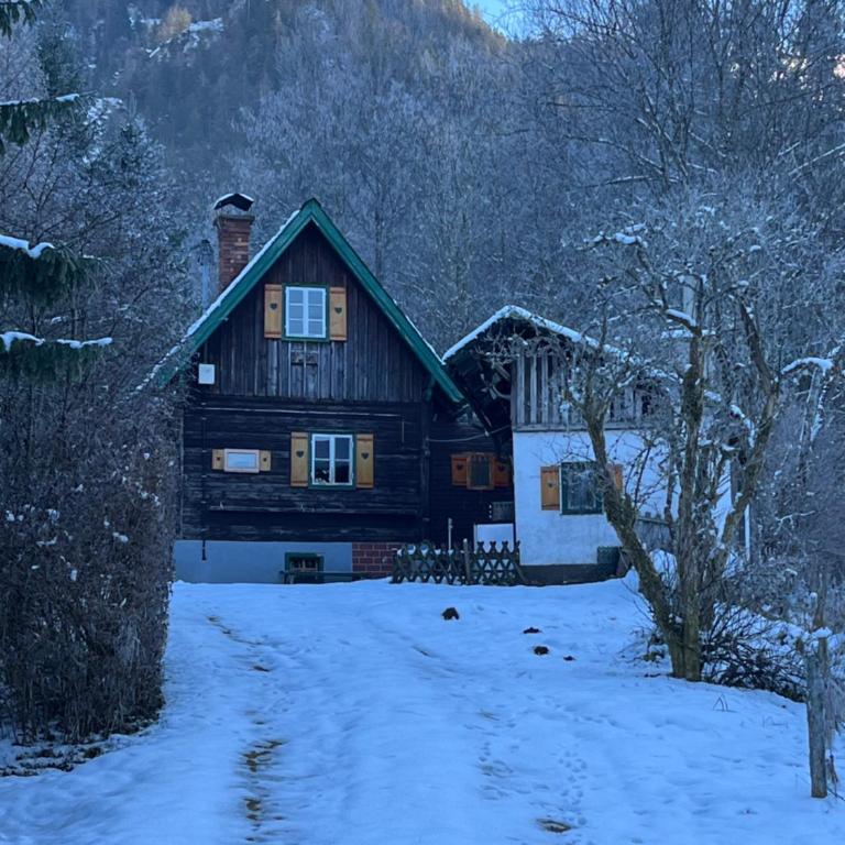 Ferienhütte Admont - Haus mit 2 Schlafzimmern - 27