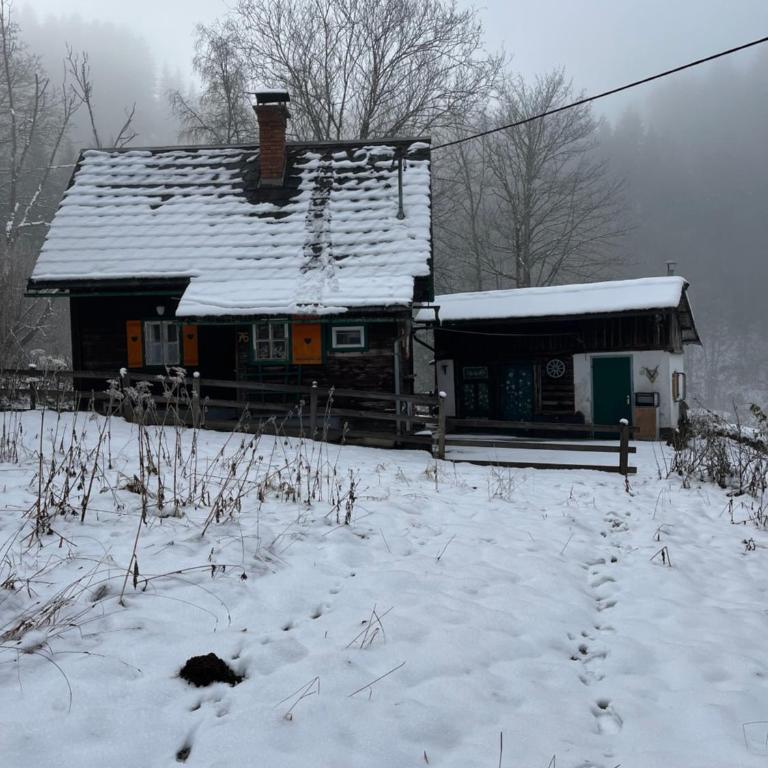 Ferienhütte Admont - Haus mit 2 Schlafzimmern - 22