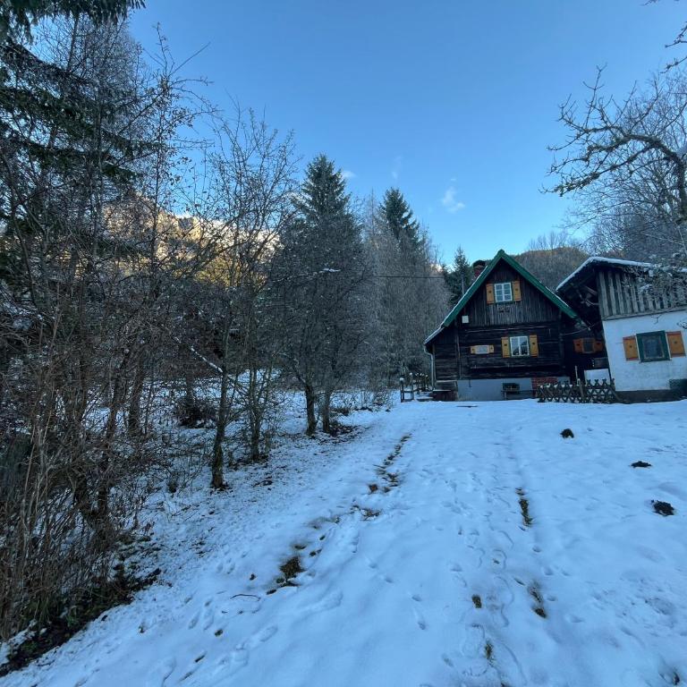 Ferienhütte Admont - Haus mit 2 Schlafzimmern - 26