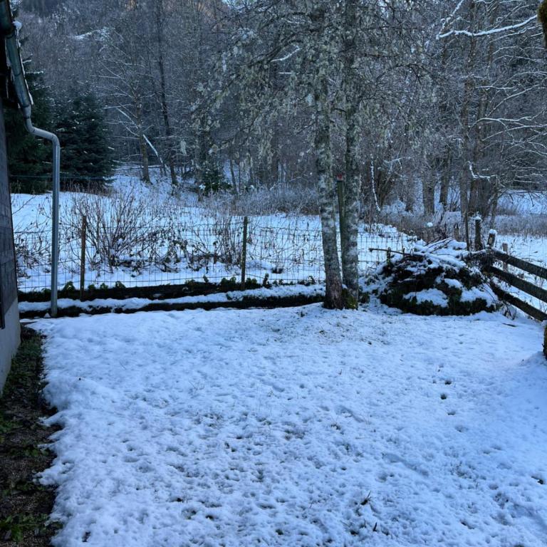 Ferienhütte Admont - Haus mit 2 Schlafzimmern - 28