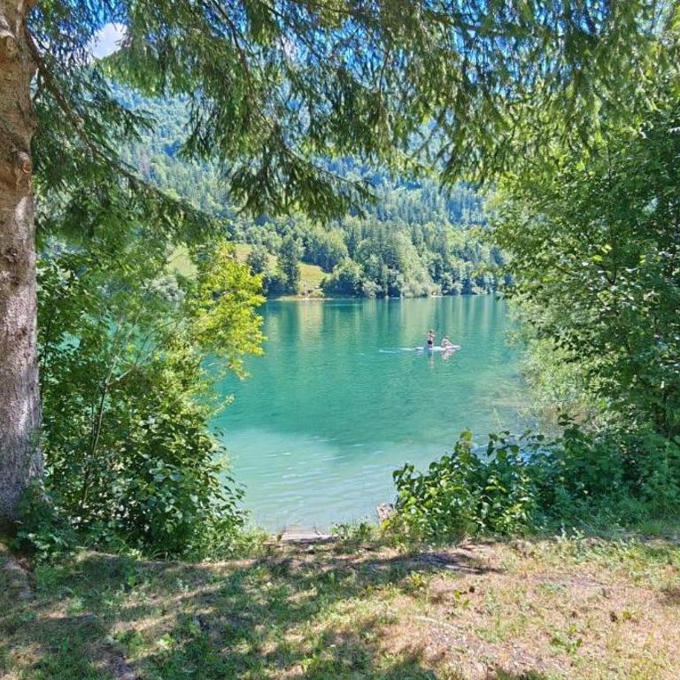 Forsthaus Faistenau - Ferienhaus mit 4 Zimmern - 50