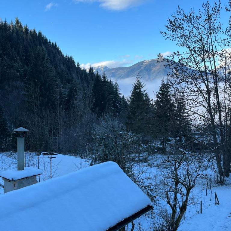 Ferienhütte Admont - Haus mit 2 Schlafzimmern - 38