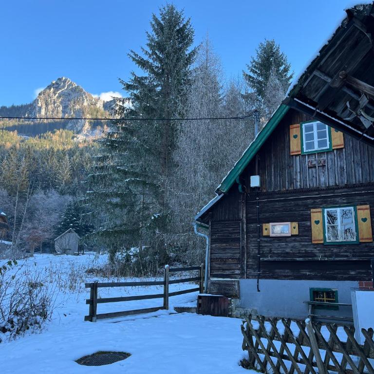 Ferienhütte Admont - Haus mit 2 Schlafzimmern - 41