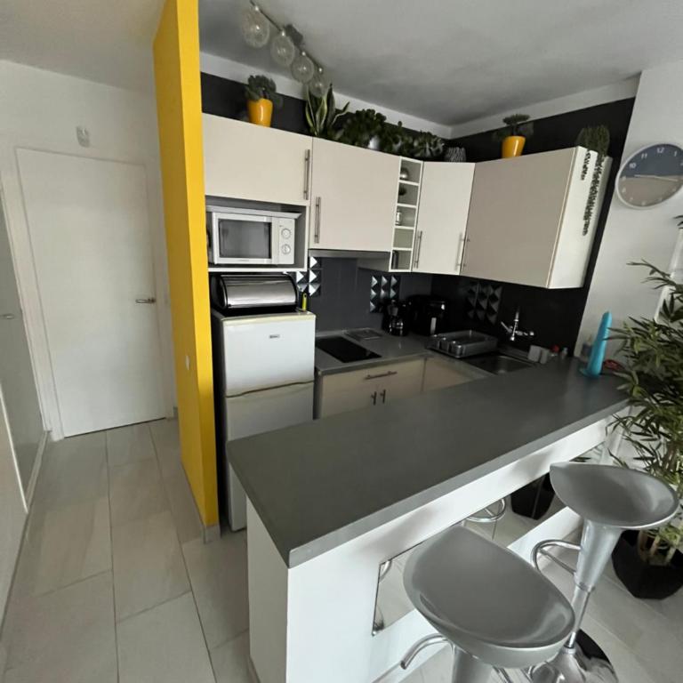 TRÈS BEL APPARTEMENT ENTIÈREMENT RÉNOVÉ - Apartamento de 1 dormitorio - 3