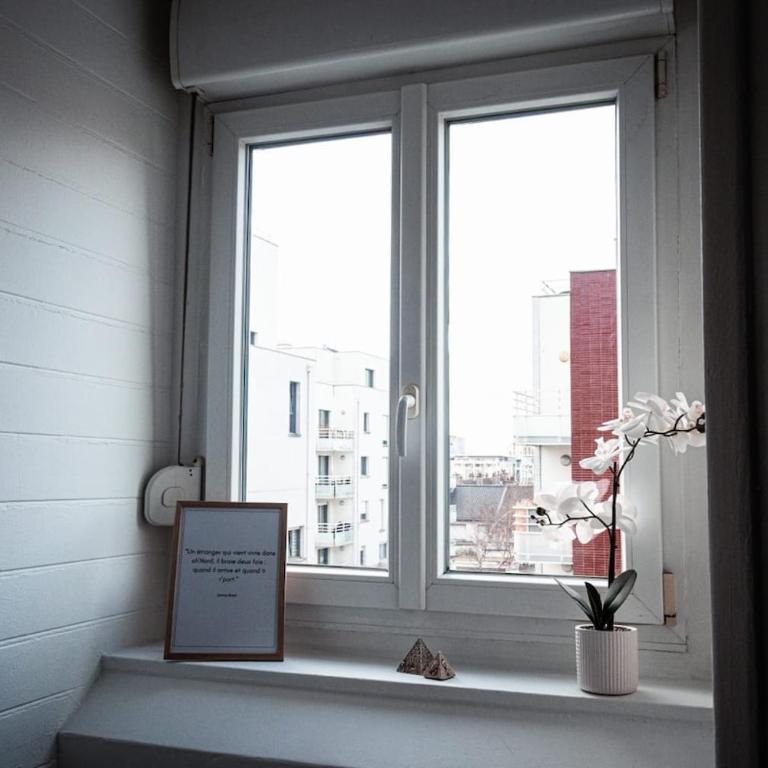 Nouveau sur dunkerque LE NID DU BEFFROI hyper centre - Apartment mit 1 Schlafzimmer - 11