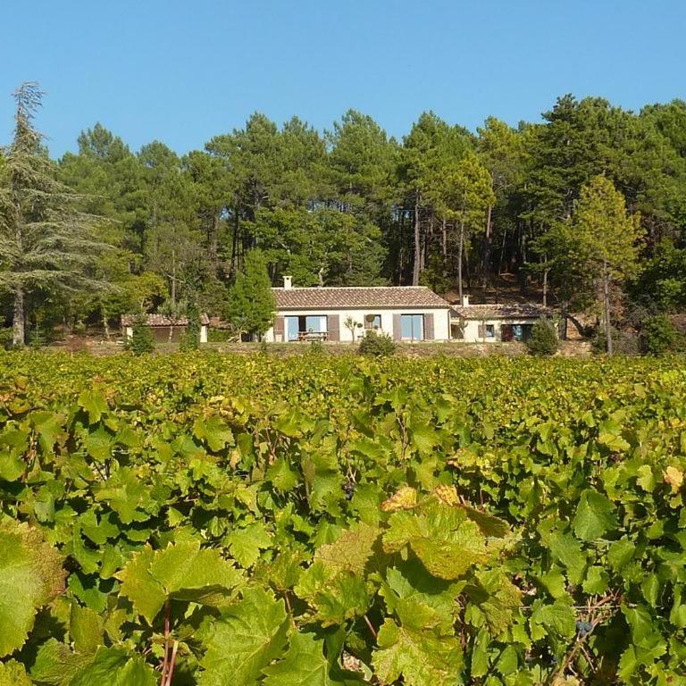 cheznico jas d la plane - Villa 3 Chambres - 21