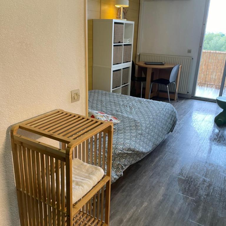 Prunelle studio piscine clim parking - Appartement 1 Chambre - 9