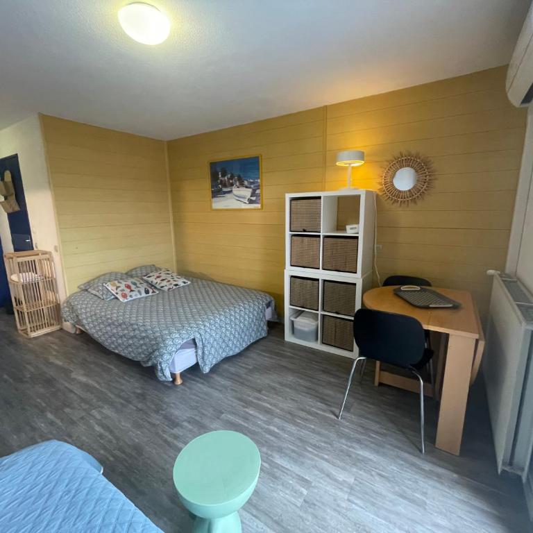 Prunelle studio piscine clim parking - Appartement 1 Chambre - 4