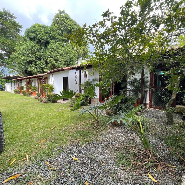 Villa with pool, jacuzzi, Turkish bath, BBQ, kiosk, and green area - Villa - 50