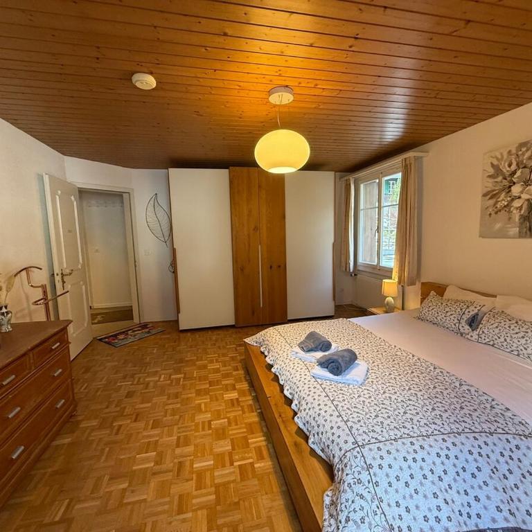 Chalet Maithili Lauterbrunnen -152-Year-Old Majestic Chalet - Chalet - 29