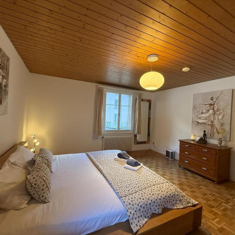 Chalet Maithili Lauterbrunnen -152-Year-Old Majestic Chalet - Chalet - 27