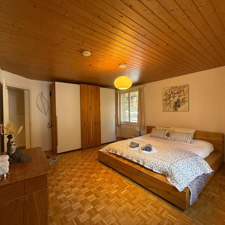 Chalet Maithili Lauterbrunnen -152-Year-Old Majestic Chalet - Chalet - 26