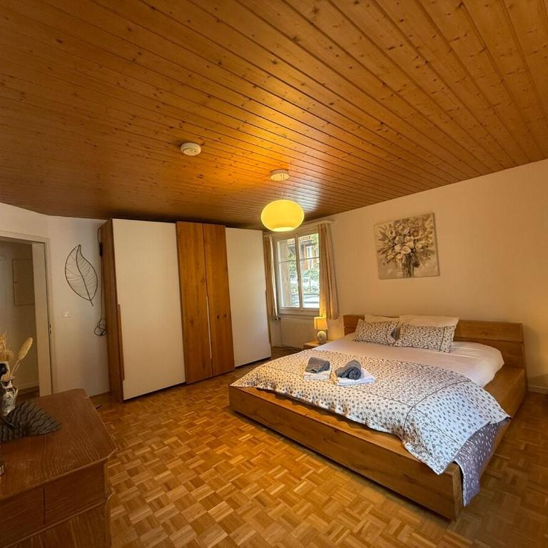 Chalet Maithili Lauterbrunnen -152-Year-Old Majestic Chalet - Chalet - 28
