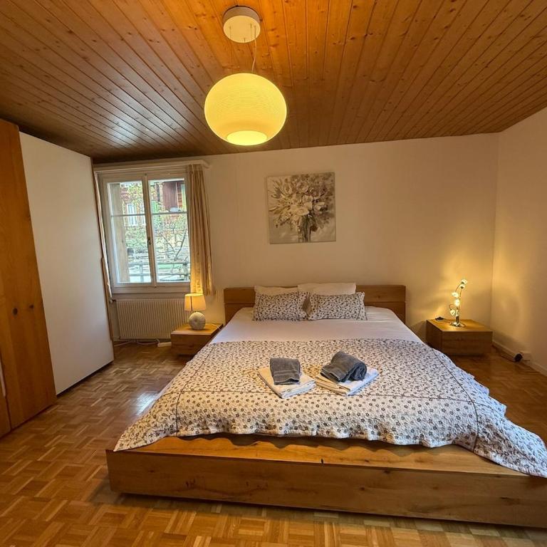 Chalet Maithili Lauterbrunnen -152-Year-Old Majestic Chalet - Chalet - 30