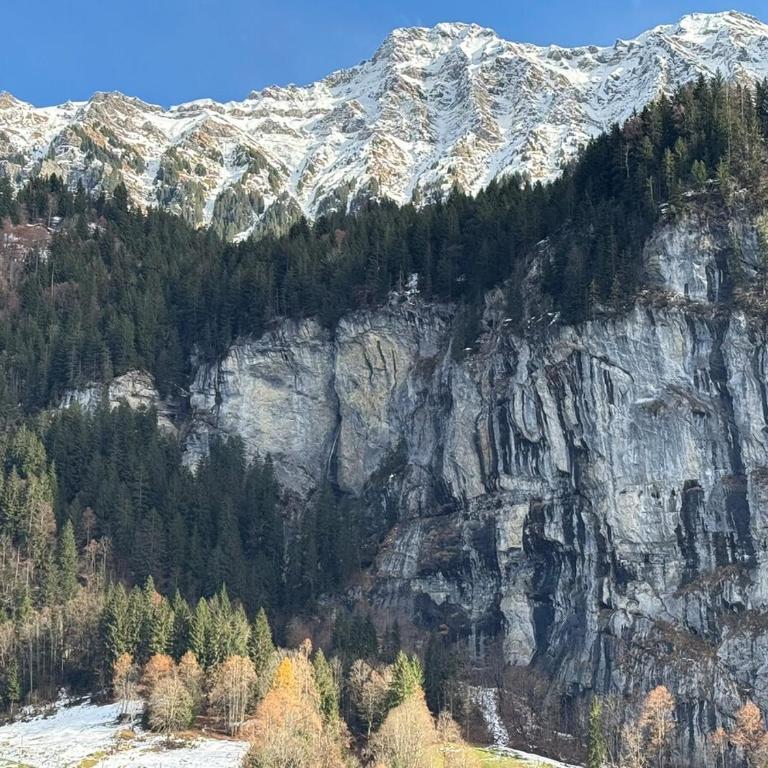 Chalet Maithili Lauterbrunnen -152-Year-Old Majestic Chalet - Chalet - 46