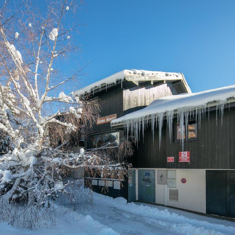 Le Roche Mantel - Appart 4p à Alpe d'Huez - Studio - 15