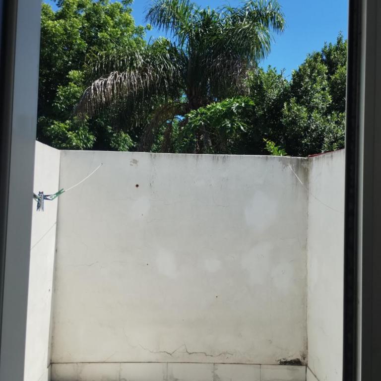 Departamento céntrico con cochera - Apartamento de 2 dormitorios - 20