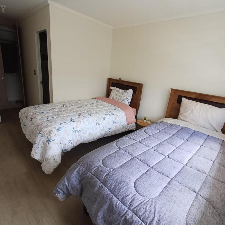 Beautifull apartment 2B-2D for rent - Two-Bedroom Apartment - 8