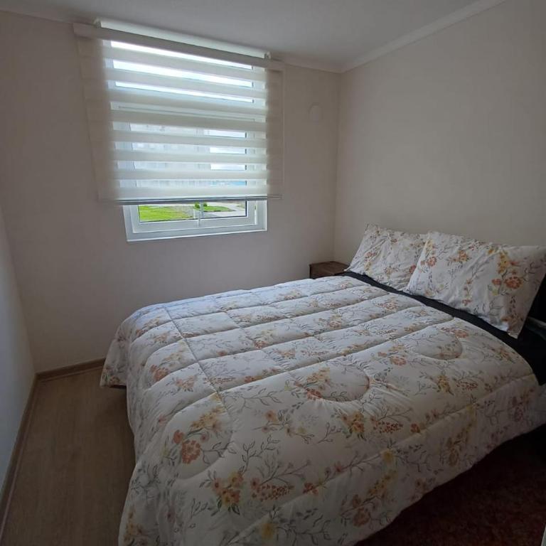 Beautifull apartment 2B-2D for rent - Two-Bedroom Apartment - 13