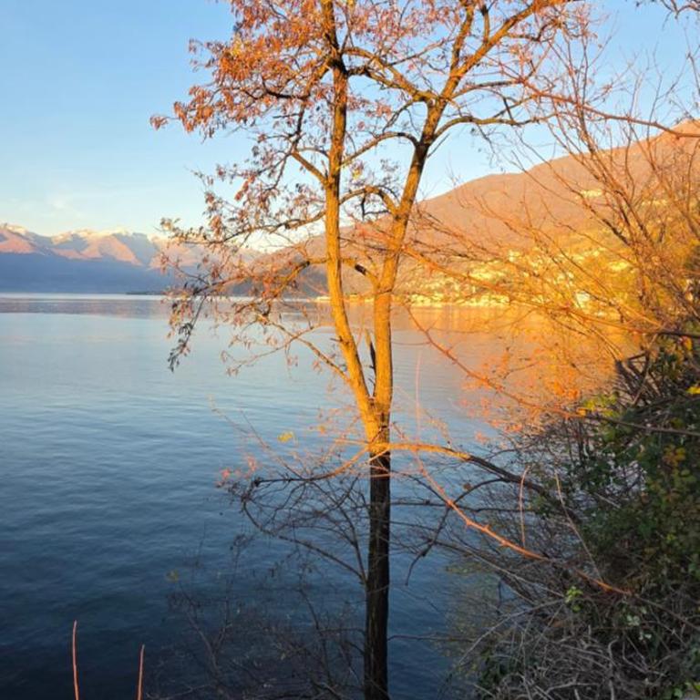 Casa Lago Como - Appartamento con 1 Camera da Letto - 44