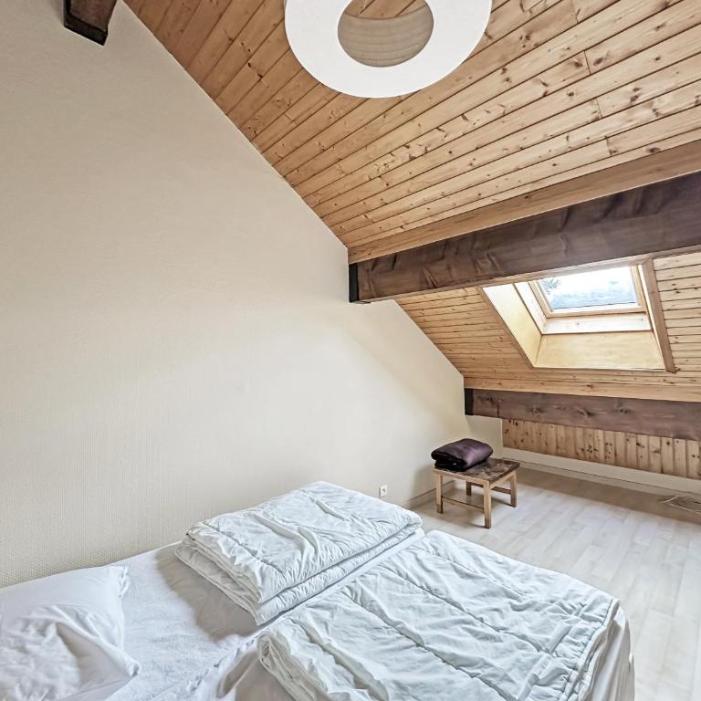 NAN116 - Duplex 4-6 pers face a la telecabine - Duplex Apartment - 5