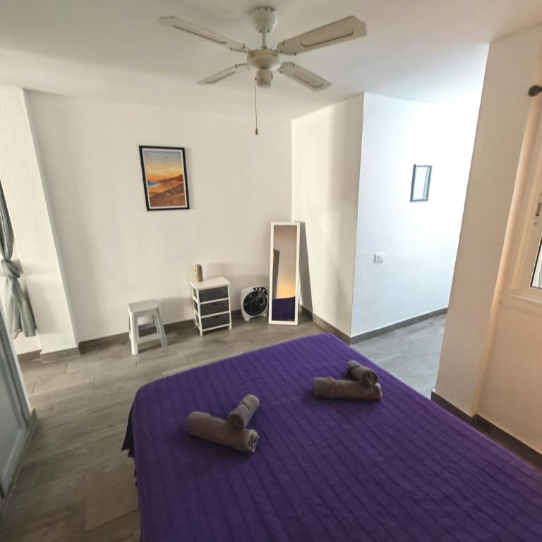 Elcorralito - One-Bedroom Apartment - 9