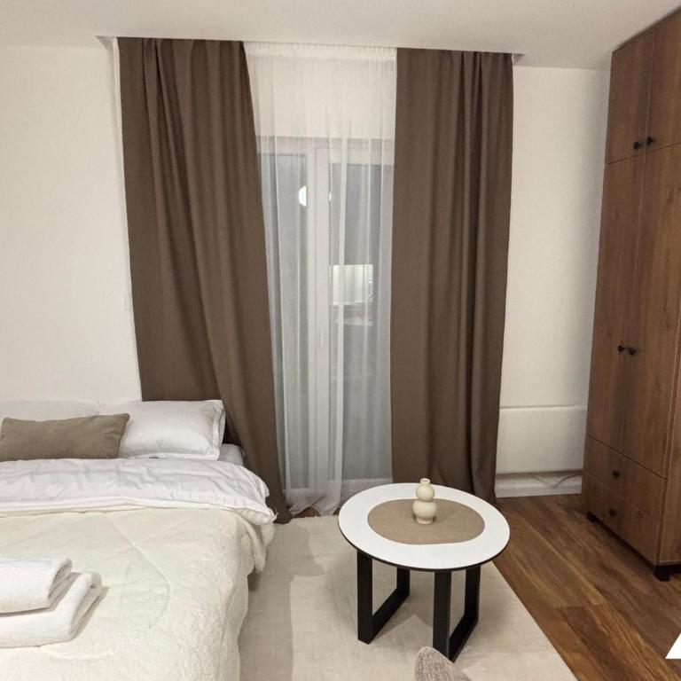 Apartman Victory - Studio with Mountain View - 17