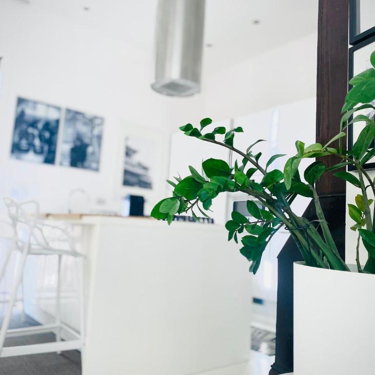 Rome, Beautiful Apartment in a Vintage Building - Appartamento con 2 Camere da Letto - 20