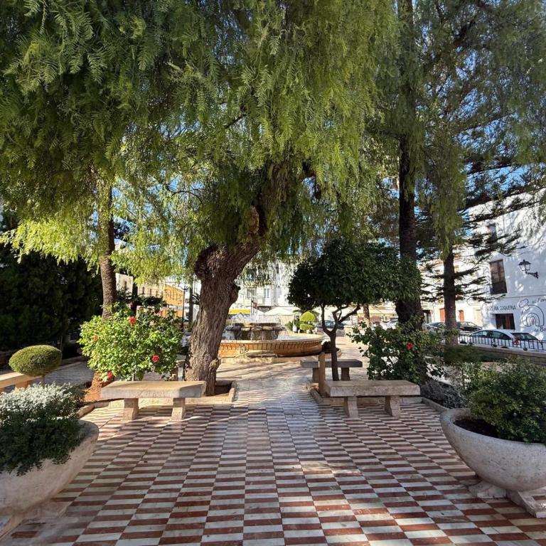 Apartamento Sant Pere II - Apartamento de 2 dormitorios - 33