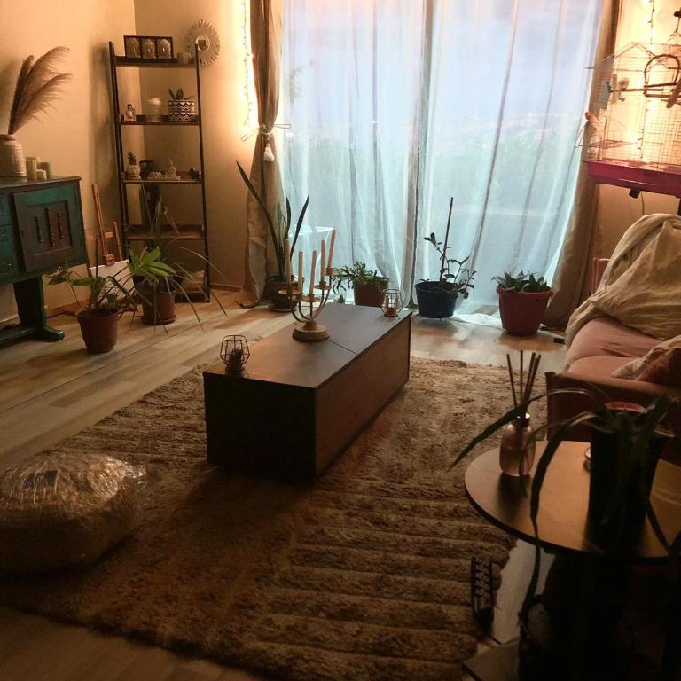 Loft independiente Casa Altavista - One-Bedroom Apartment - 5