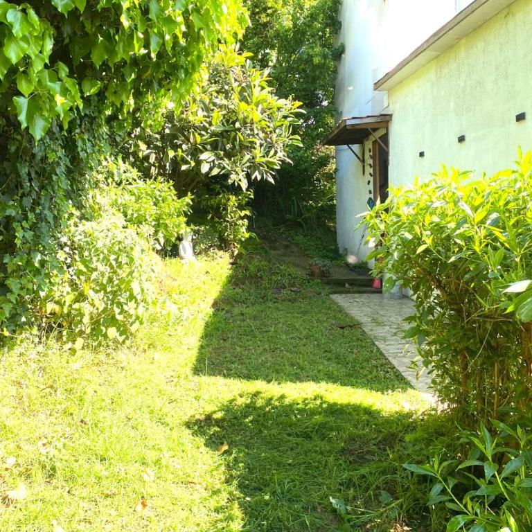 Loft independiente Casa Altavista - One-Bedroom Apartment - 8