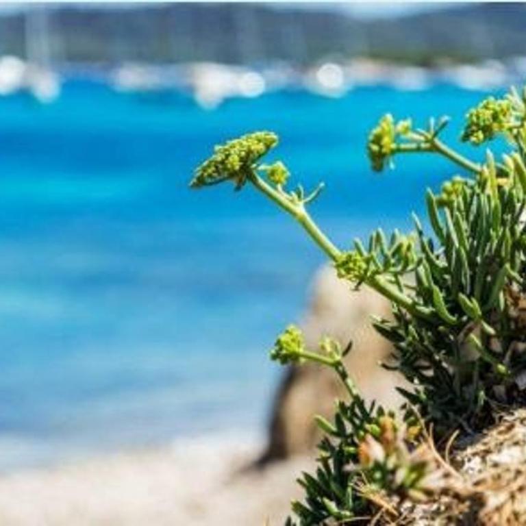 Studio cosy proche plage, Le Lavandou - FR-1-251-847 - Appartement - 18
