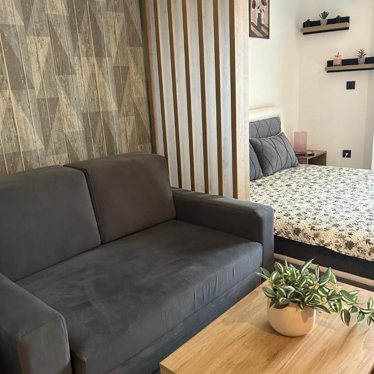 Milmari Bonita Nlux87 - One-Bedroom Apartment - 7