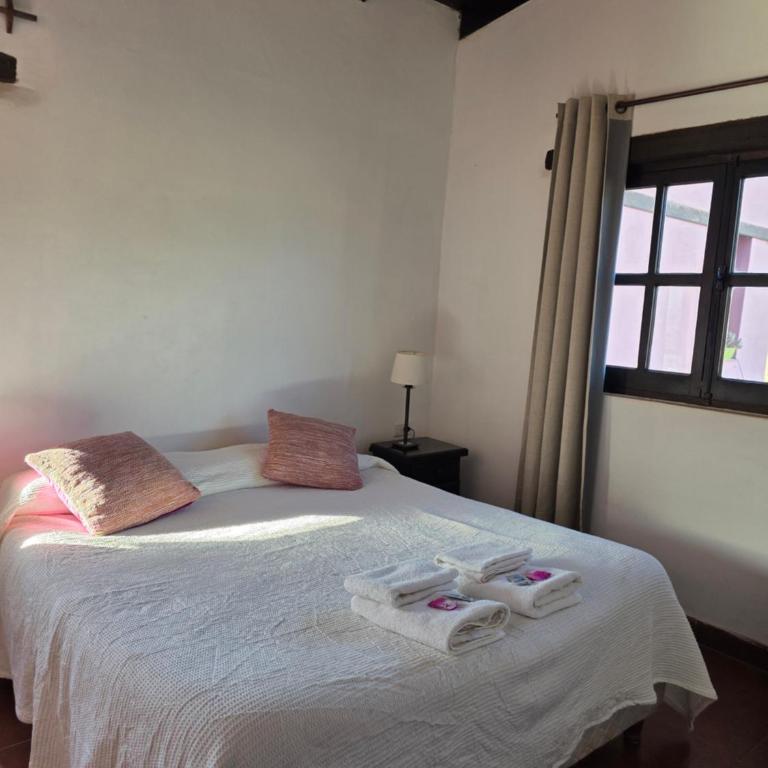 Cabañas Altos de Cachi - Chalet de 1 dormitorio - 15