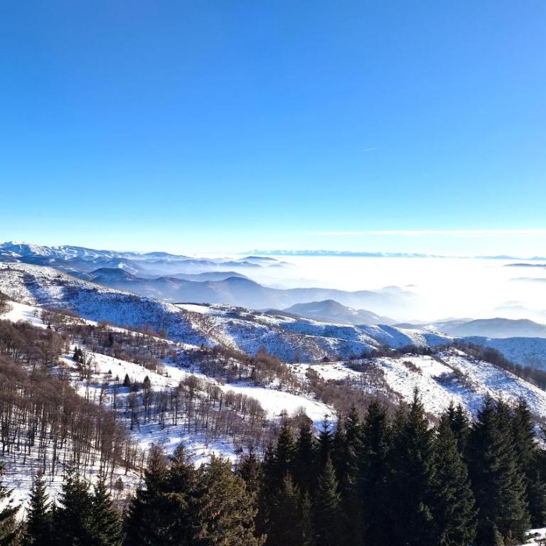 Sunny Hill Kop - Luxury Apartment Mountain View - Two-Bedroom Apartment - 23