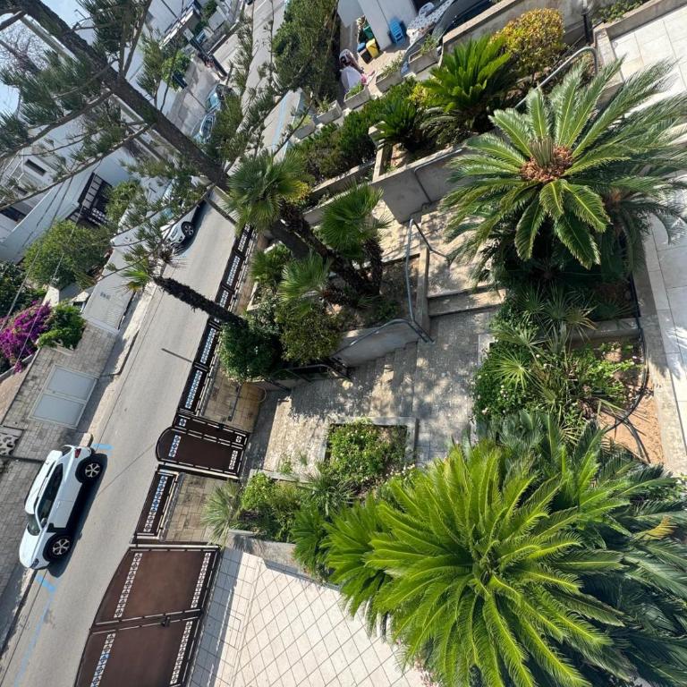 Villa Eleonora - Casa con 2 Camere da Letto - 1